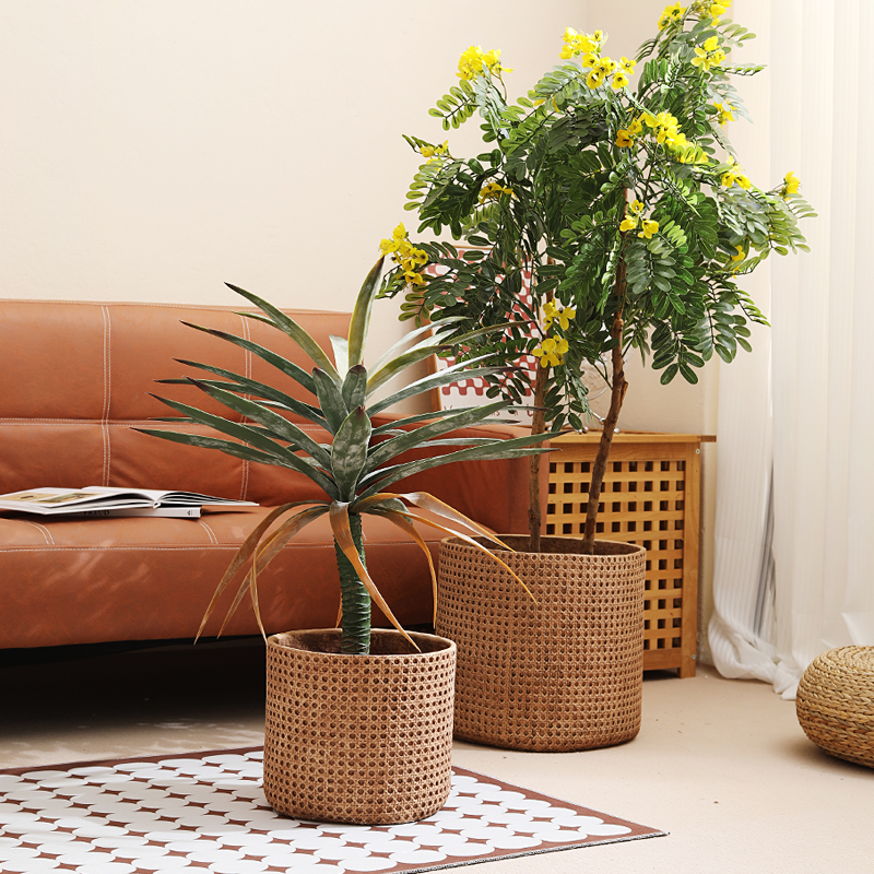 Furniture for small-sized apar - Furniture Paradise & Hardware Ghaziabad Photos ulasan dan harga